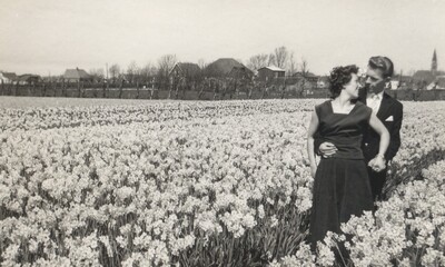 Rose___Ted_1959_op_de_familie_bollen_kwekerij.jpg