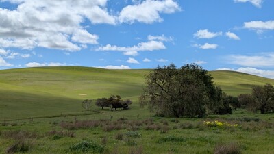 PXL_20250913_024050449_MP~0.jpg