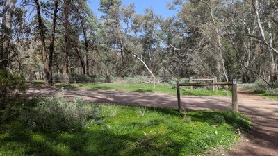 PXL_20250915_014731635~0.jpg