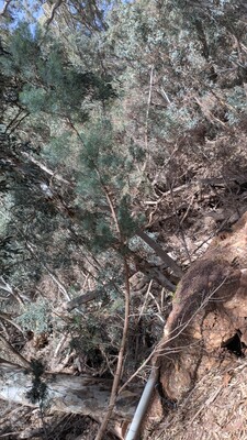 PXL_20250915_020600786~0.jpg