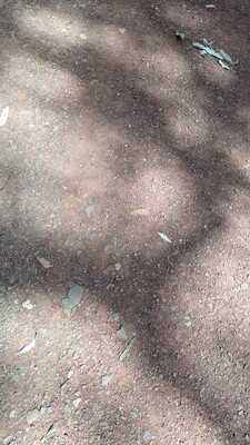 PXL_20250915_020603023~0.jpg
