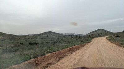 PXL_20250915_045803682~0.jpg