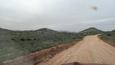PXL_20250915_045803963~0.jpg