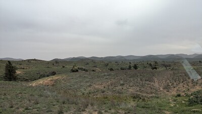 PXL_20250915_050018398_MP~0.jpg