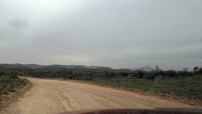 PXL_20250915_050122708~0.jpg