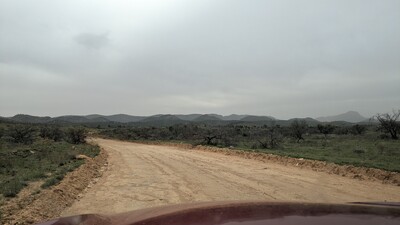PXL_20250915_050125485~0.jpg