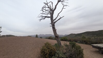PXL_20250915_051414462~0.jpg