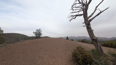PXL_20250915_051415998~0.jpg