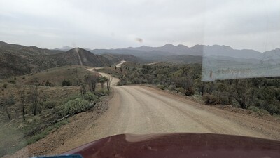 PXL_20250915_052204445~0.jpg
