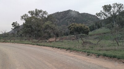 PXL_20250915_052738844~0.jpg