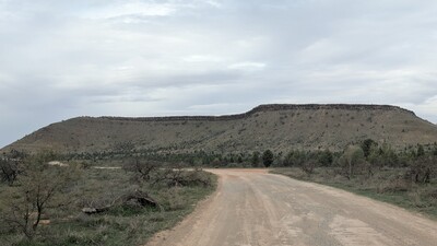 PXL_20250915_061323936_MP~0.jpg