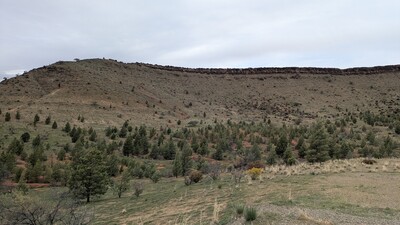 PXL_20250915_061721870~0.jpg