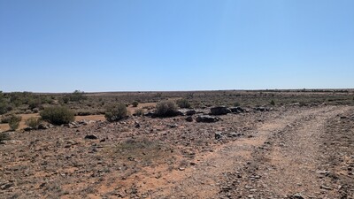PXL_20250917_051456230_MP.jpg