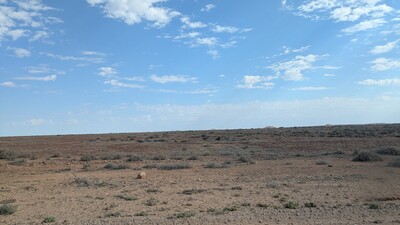 PXL_20250918_055152318~0.jpg