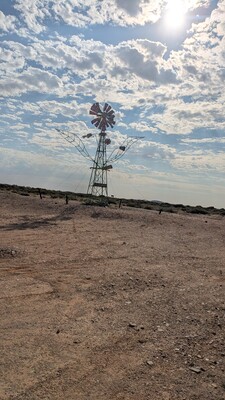 PXL_20250918_061144066~0.jpg