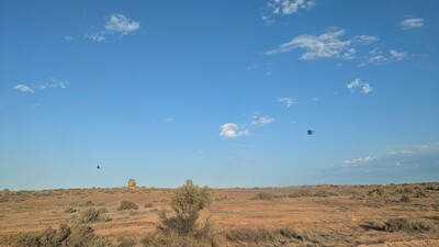 PXL_20250918_073835657~0.jpg