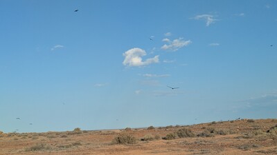 PXL_20250918_073839520~0.jpg