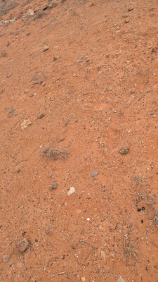 PXL_20250919_001004539~0.jpg