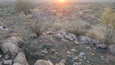PXL_20250920_082552689_MP.jpg