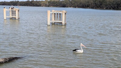 PXL_20250922_043027064~0.jpg
