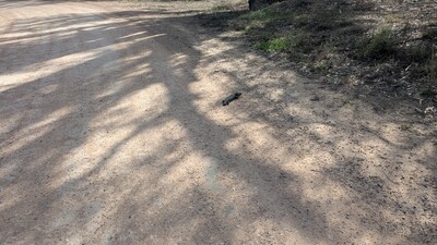 PXL_20250922_044747778~0.jpg