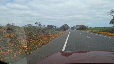PXL_20250923_034505318_MP~0.jpg