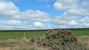 PXL_20250912_010819334_MP~0.jpg