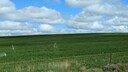 PXL_20250912_010826709~0.jpg