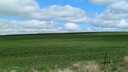 PXL_20250912_010831480~0.jpg
