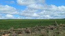 PXL_20250912_010836376~0.jpg