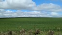 PXL_20250912_010840649~0.jpg