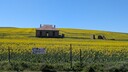 PXL_20250914_004654933_MP~0.jpg