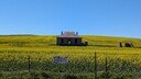 PXL_20250914_004709104_MP.jpg