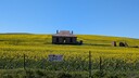 PXL_20250914_004711130_MP~0.jpg