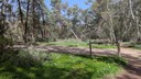 PXL_20250915_014731635~0.jpg