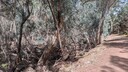 PXL_20250915_020528870_MP~0.jpg