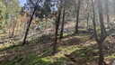 PXL_20250915_020553993_MP~0.jpg