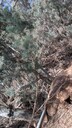 PXL_20250915_020600786~0.jpg