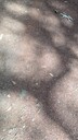 PXL_20250915_020603023~0.jpg