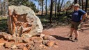 PXL_20250915_024827964~0.jpg
