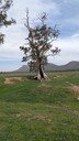 PXL_20250915_042456876_MP.jpg