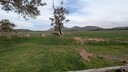 PXL_20250915_042522158~0.jpg