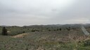 PXL_20250915_050018398_MP~0.jpg