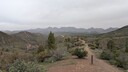 PXL_20250915_051314543_MP~0.jpg