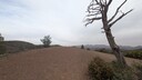 PXL_20250915_051415998~0.jpg