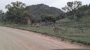 PXL_20250915_052742124~0.jpg