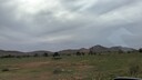 PXL_20250915_060218651_MP~0.jpg