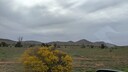 PXL_20250915_060220772_MP~0.jpg