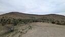 PXL_20250915_061719178~0.jpg