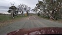 PXL_20250915_064150048~0.jpg